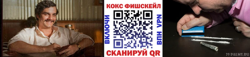 Cocaine FishScale магазин кракен сайт Грозный