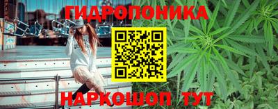 молекула духа Таганрог