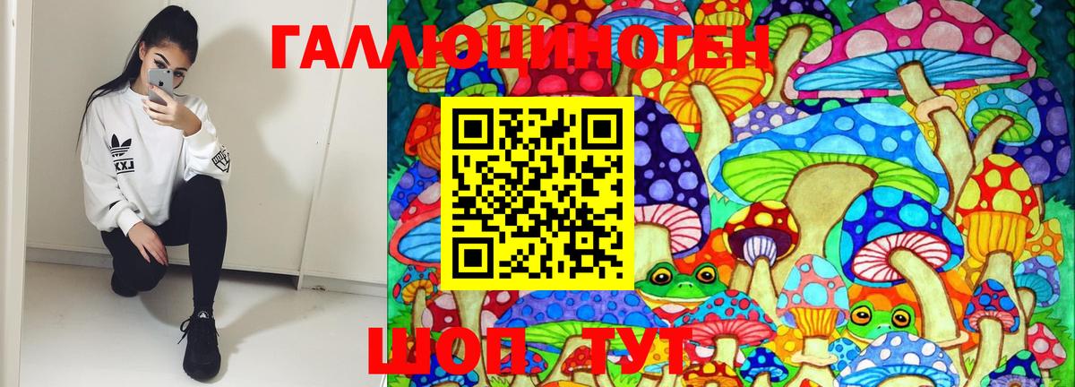Грозный  Галлюциногенные грибы MAGIC MUSHROOMS  Вход с VPN  Псилоцибиновые грибы Psilocybe 