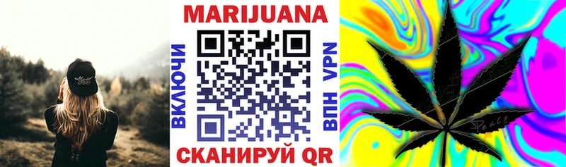купить закладку  Грозный  Канабис семена 